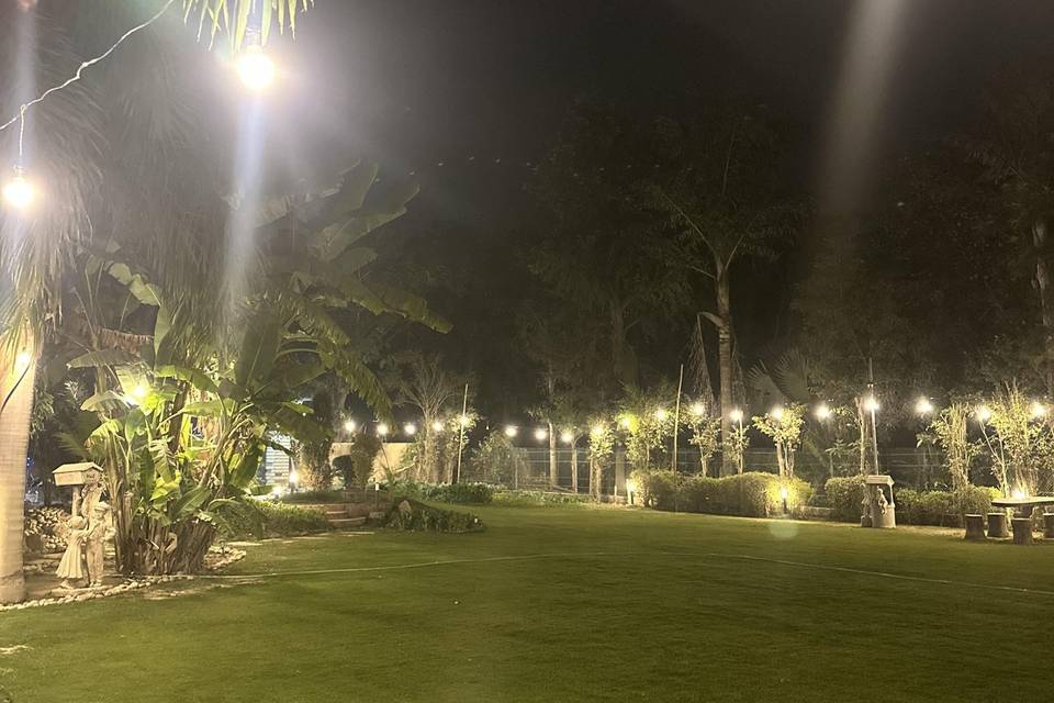 Lawn area