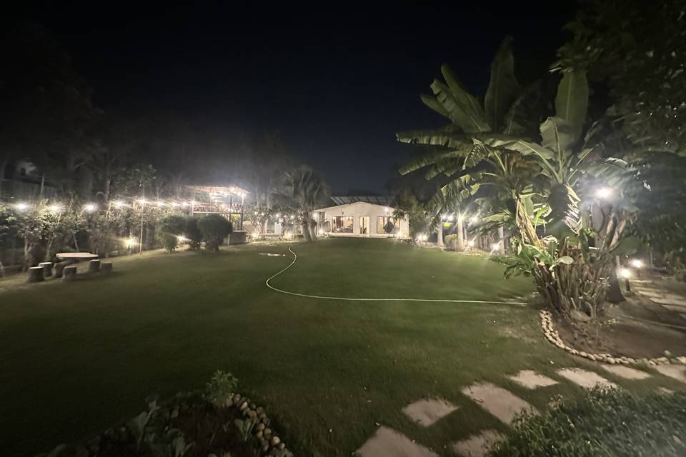 Lawn area