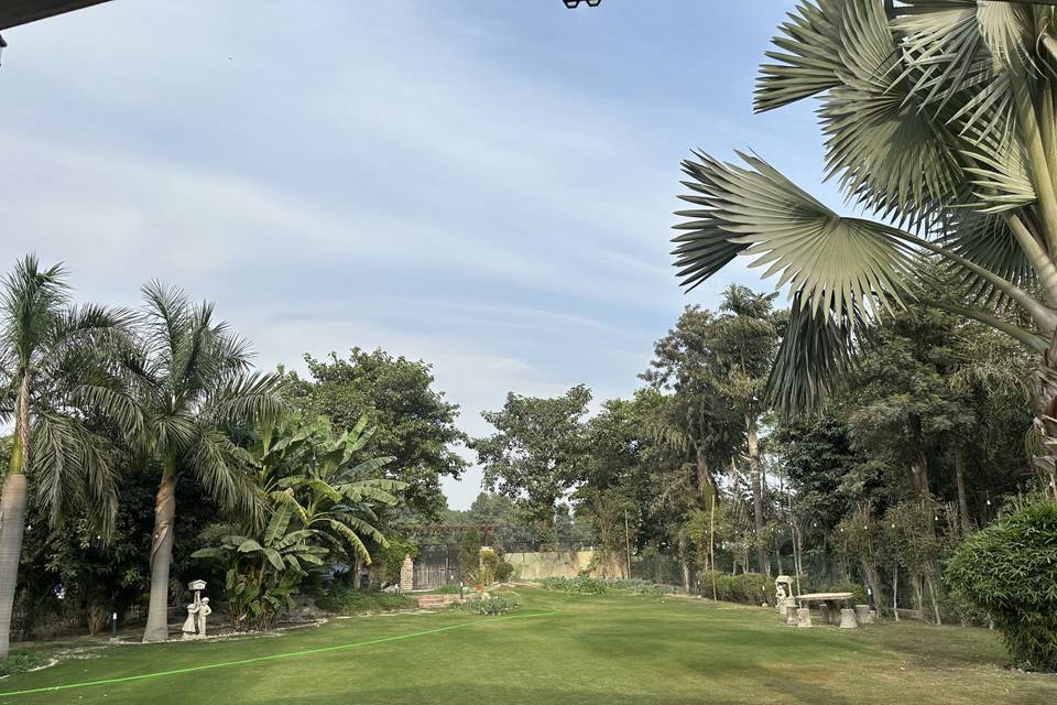 Lawn area