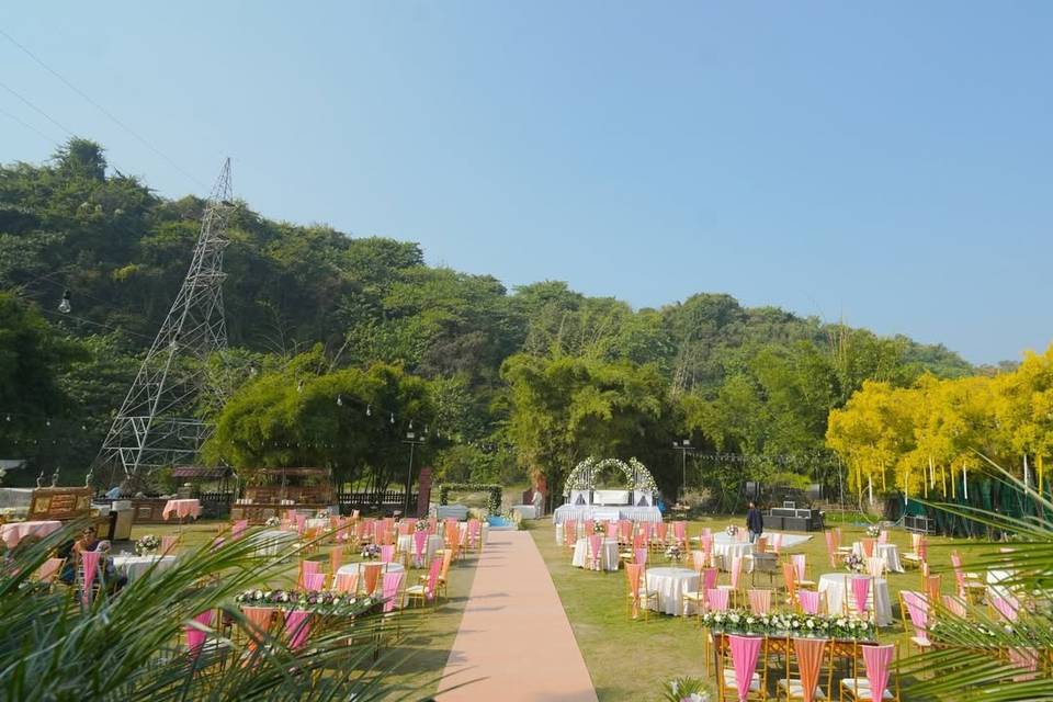 Lawn area