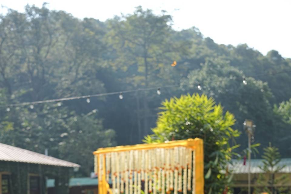 Haldi decor