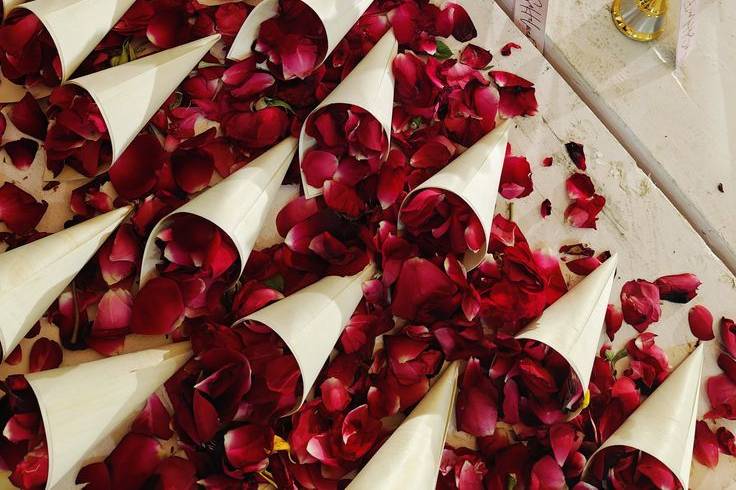 Wedding Bells