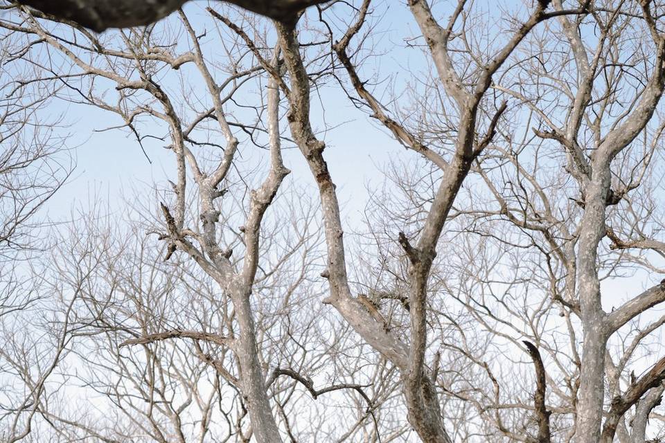 Candid Photography