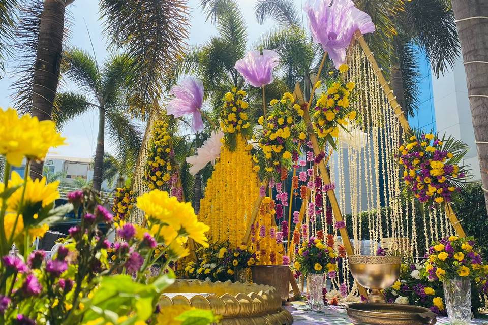 Haldi Backdrop