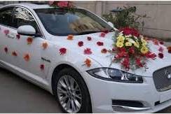 Wedding cars