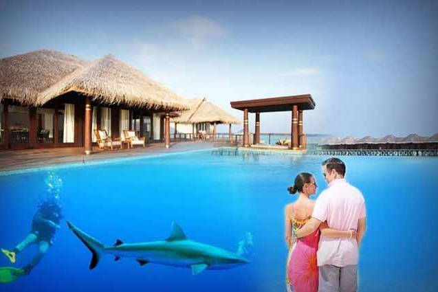 Honeymoon destination