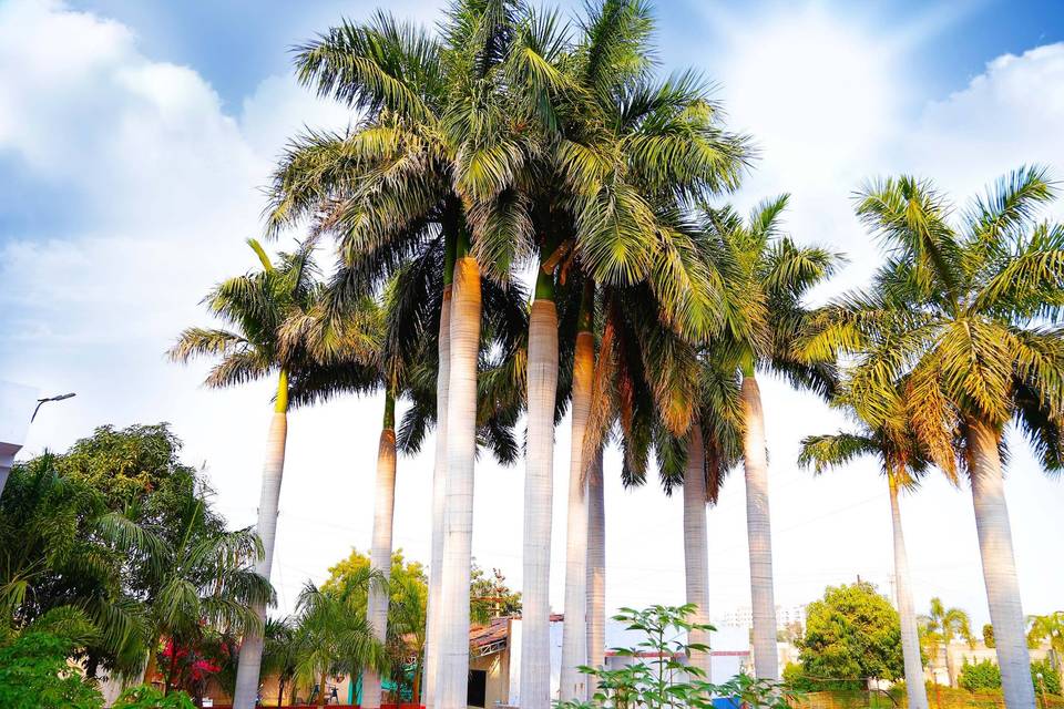 Talawali Palms, Indore