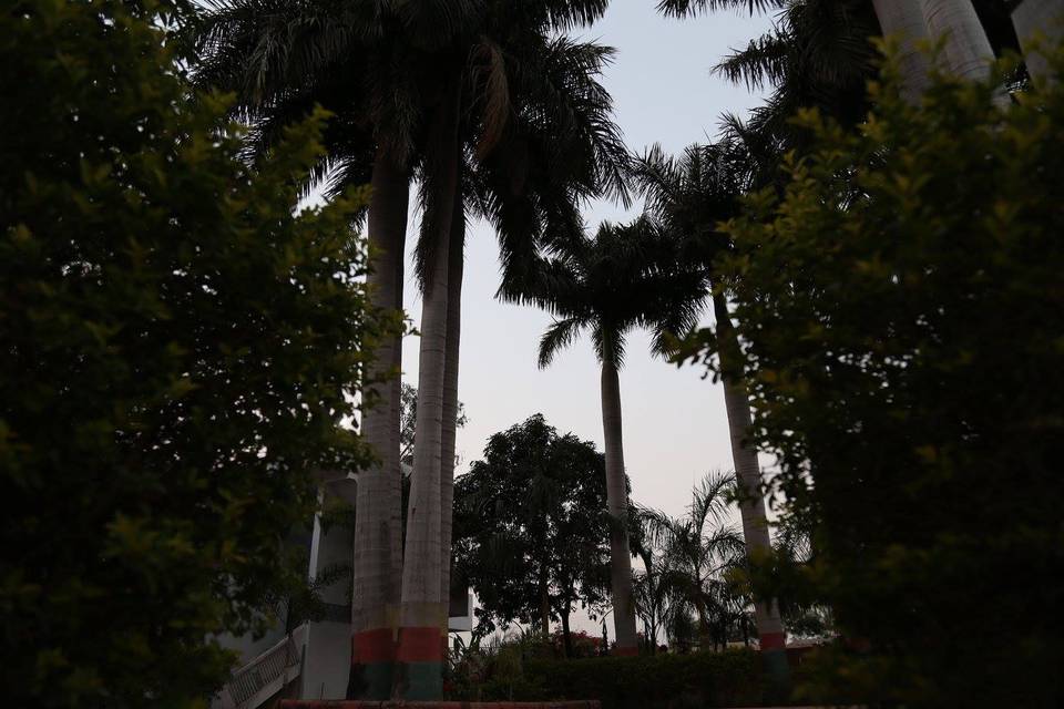 Talawali Palms, Indore