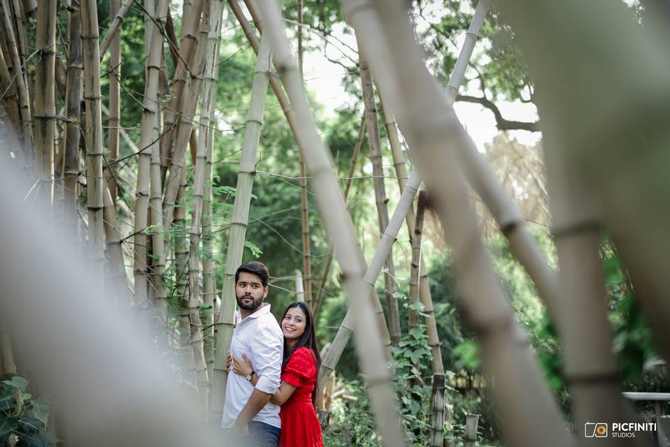 Abhishek & Laxmi - Pre Wedding