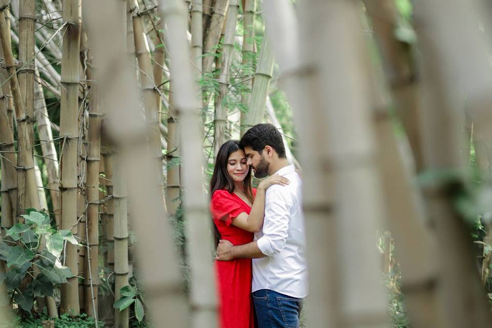 Abhishek & Laxmi - Pre Wedding