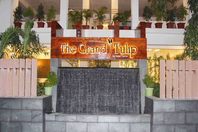 The Grand Tulip