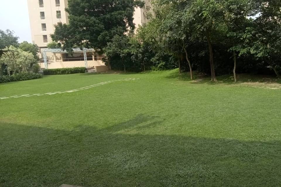 Lawn area