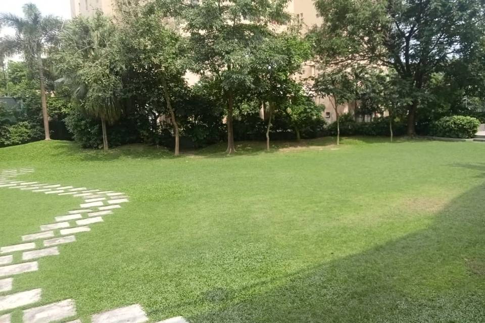 Lawn area