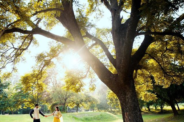 Pre-wedding shot