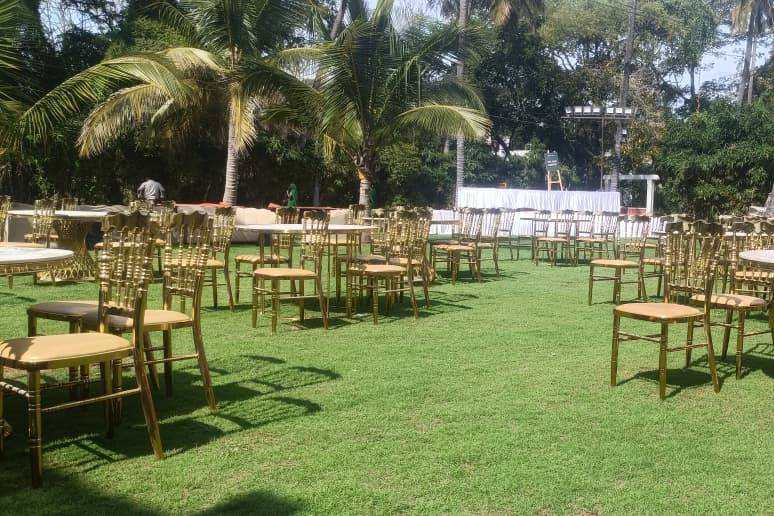 Lawn area