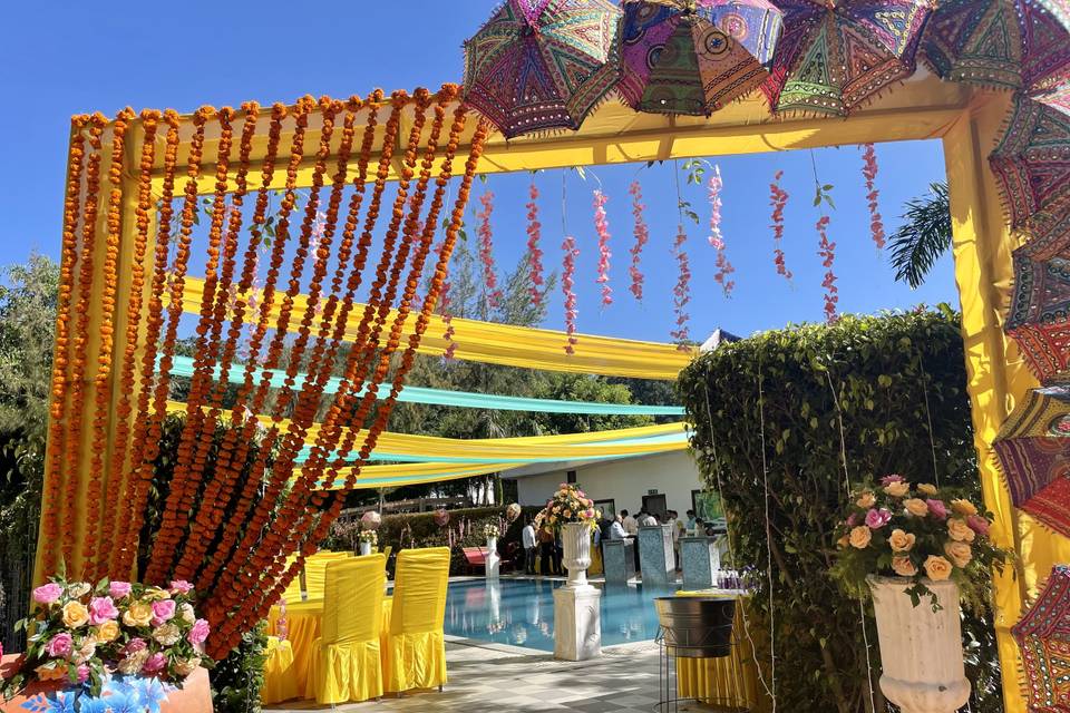 Haldi setup