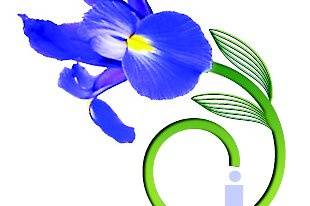 Iris Florals Logo