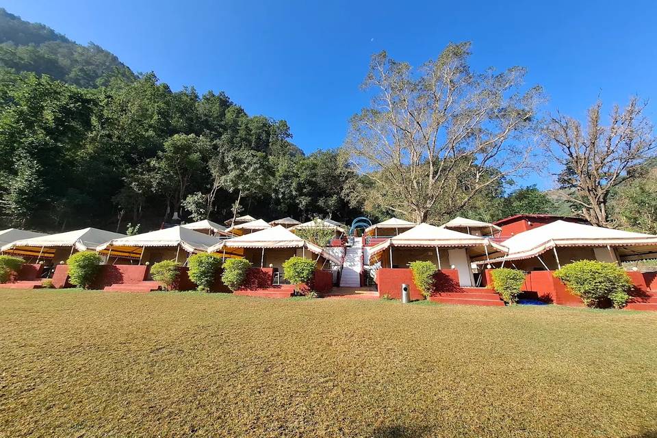 Lawn area