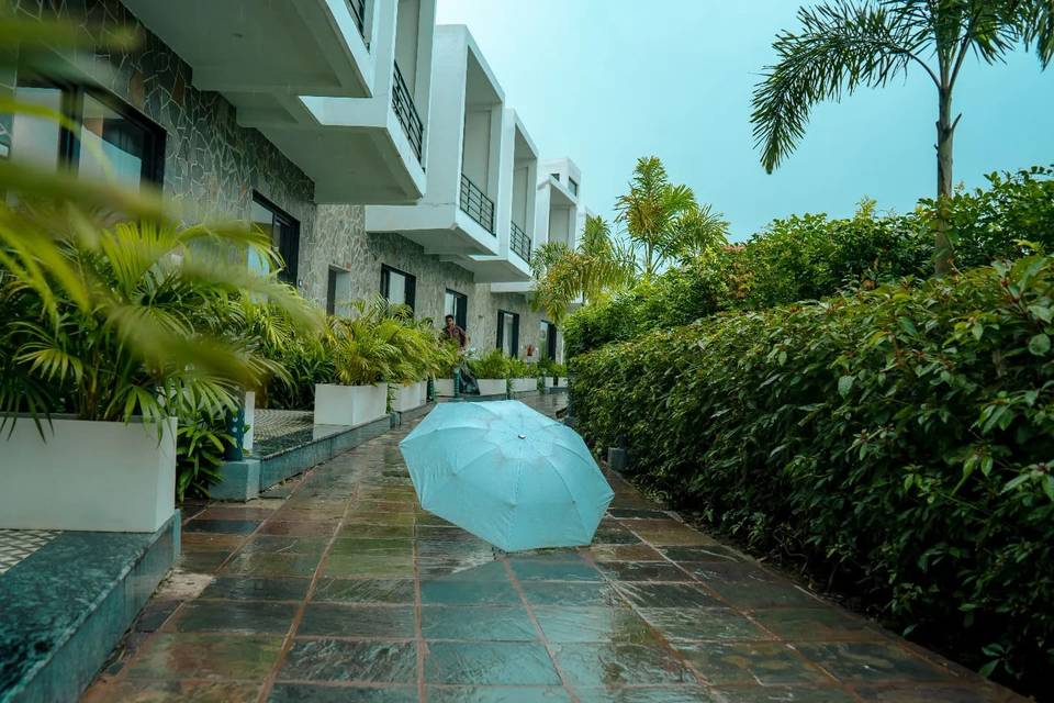 Lawn area
