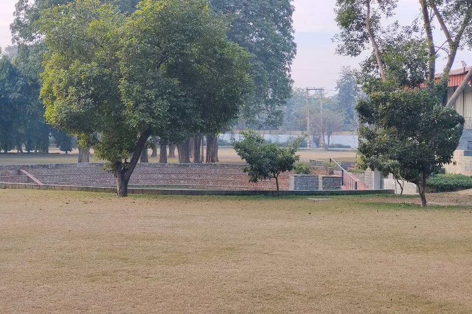 Huge Lawn Landscape