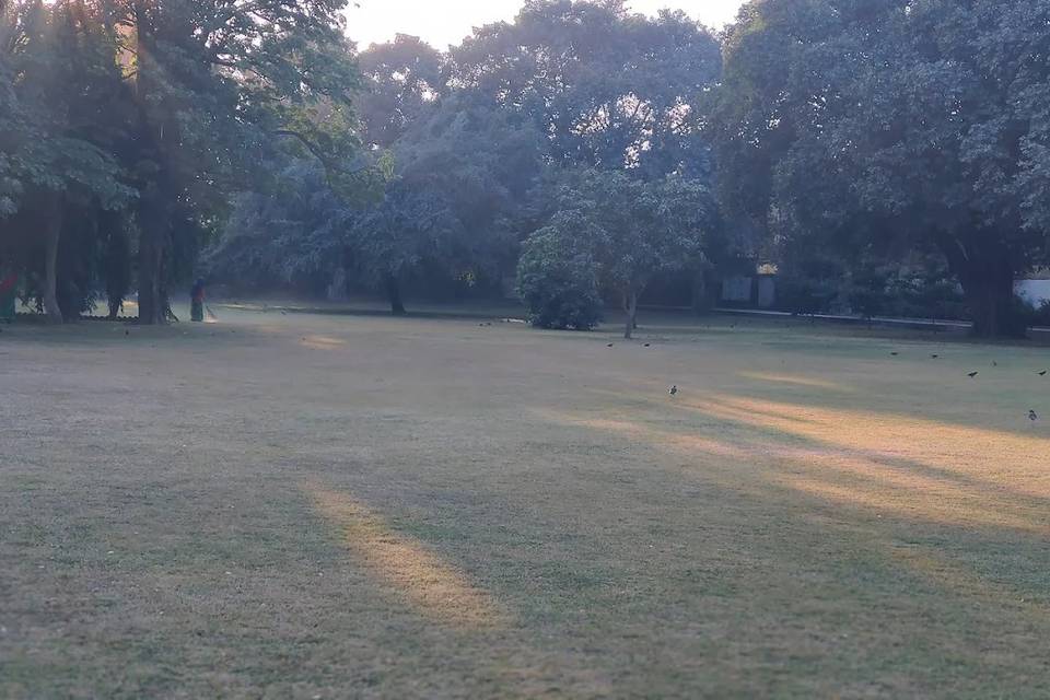 Lawn area