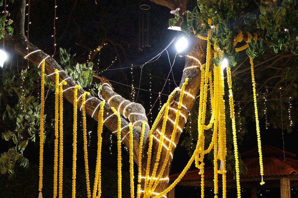 Haldi Function Decor