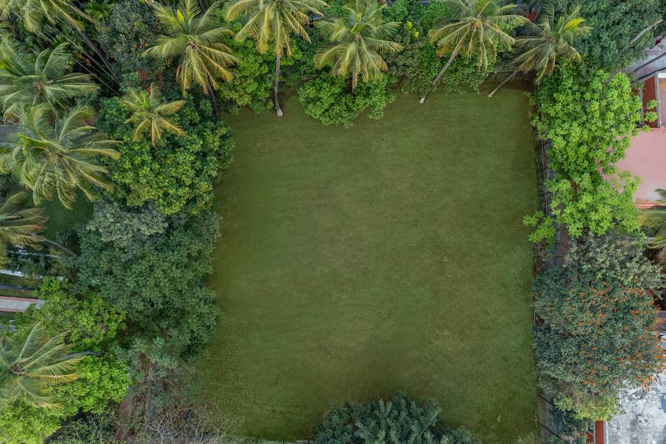 Lawn area