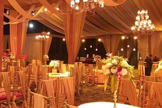 Platinum Events, Nagpur