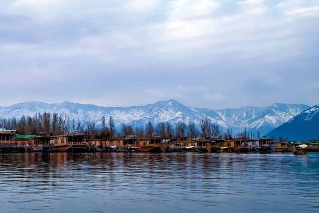 Kashmir