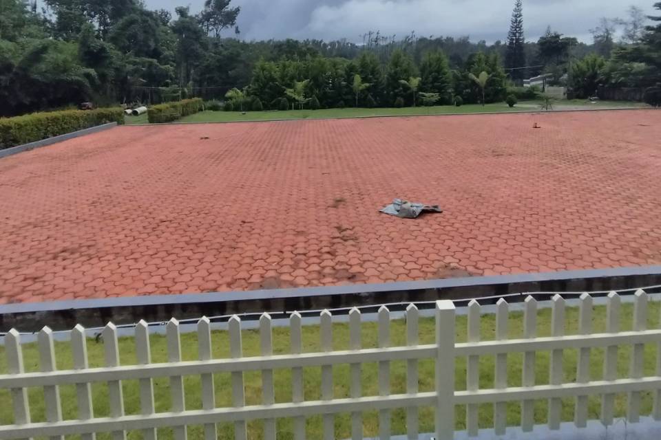 Lawn area