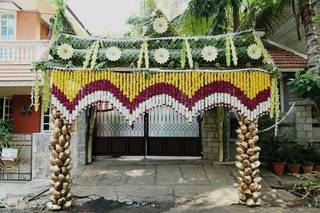 Peafowl Events