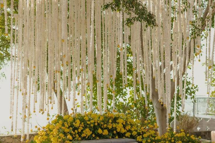 Radiancia Events