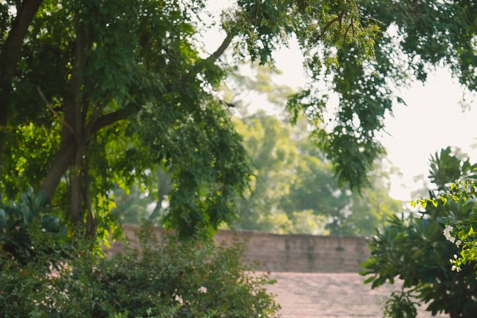 Rajasthani theme