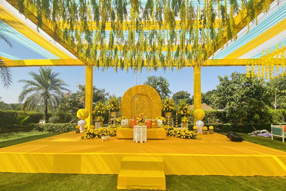 Haldi stage