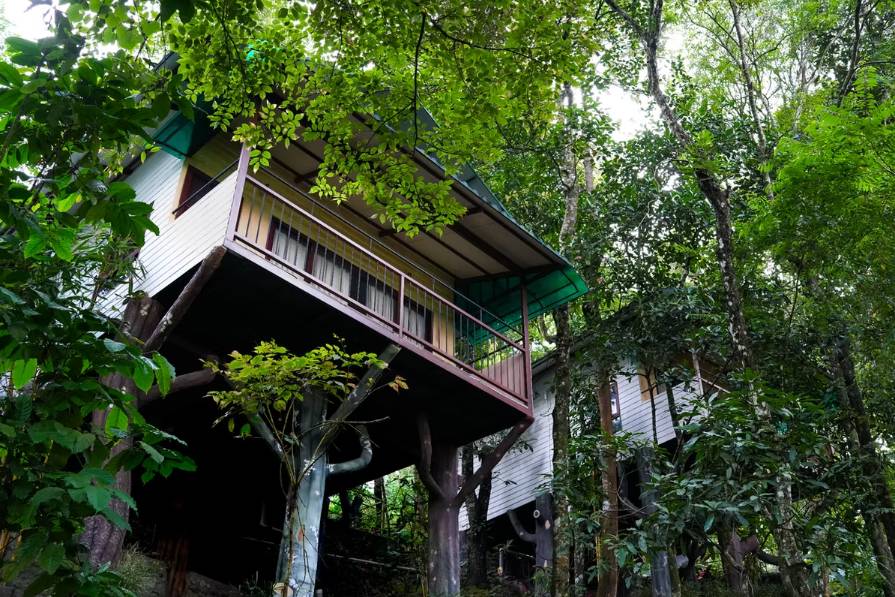 Accommodation