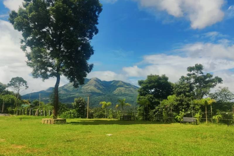 Lawn area