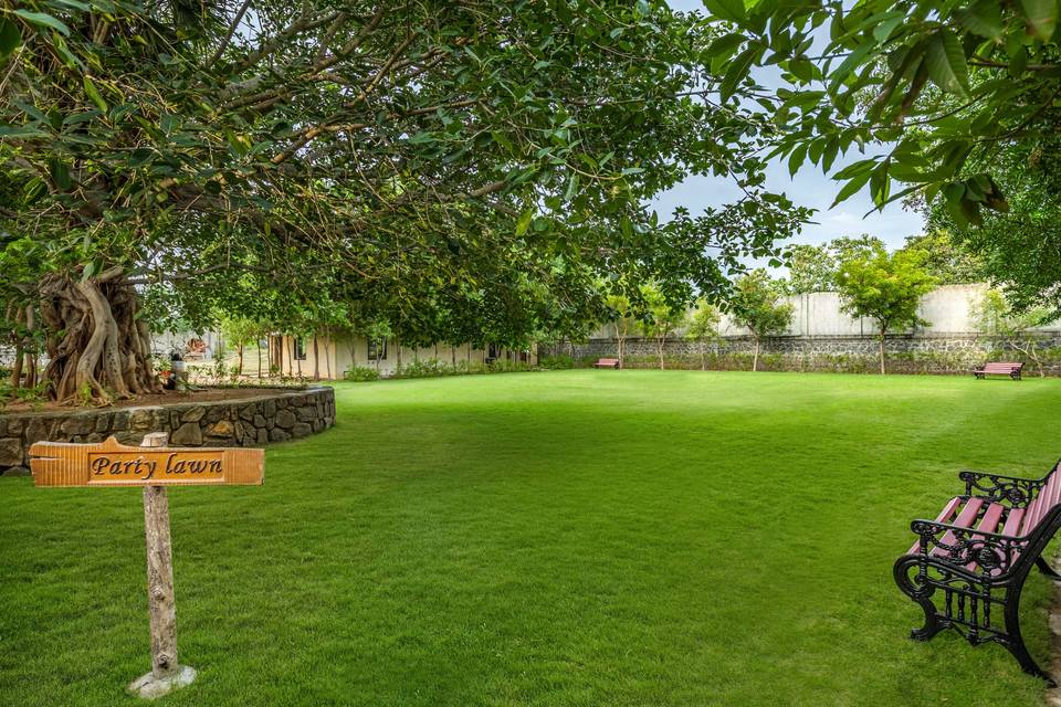 Lawn area