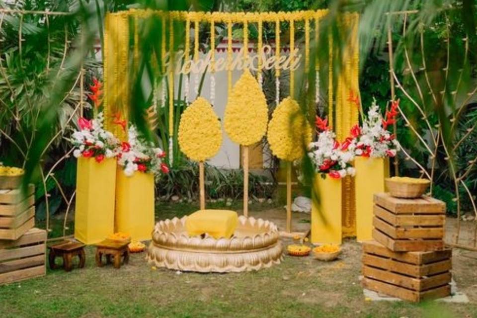 Haldi setup