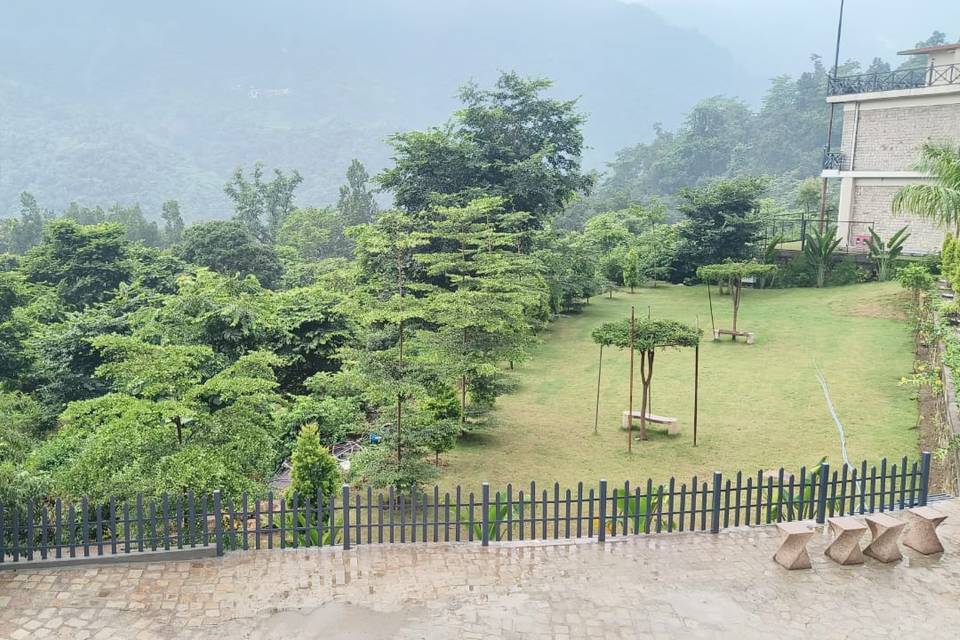 Lawn area