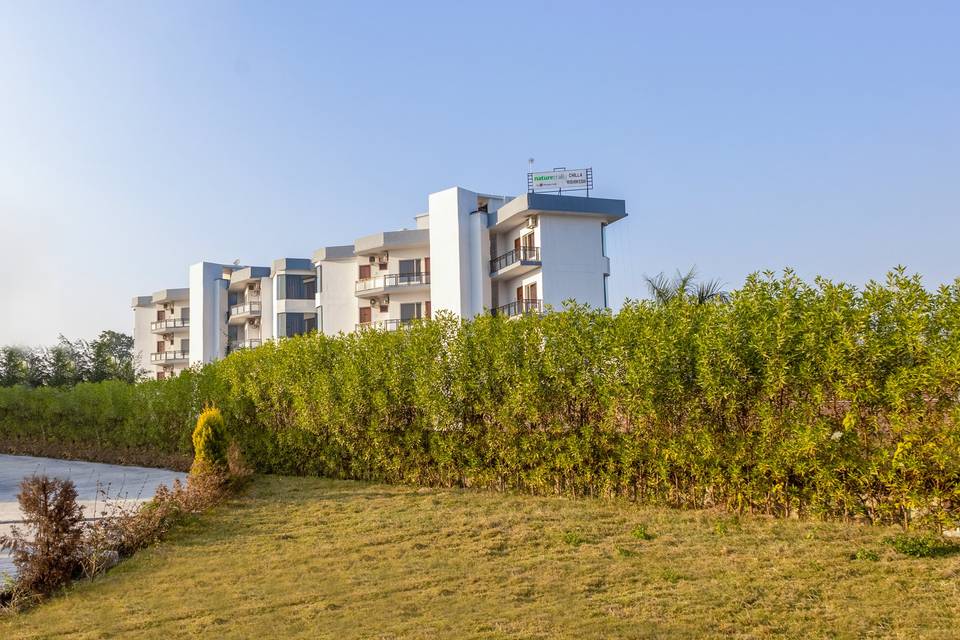 Lawn area
