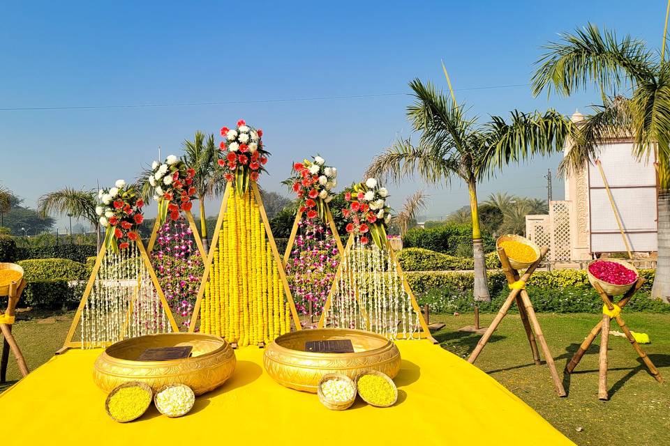 Haldi Backdrop