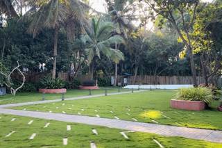 Mandala Resort By Travelers Mind