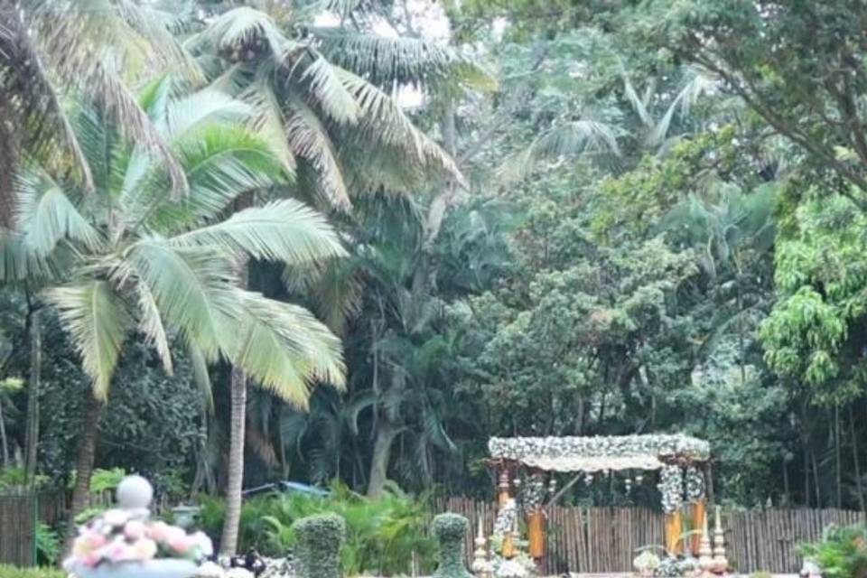 Wedding