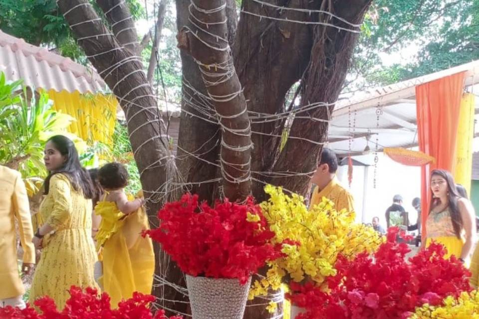 Haldi Ambience Decor