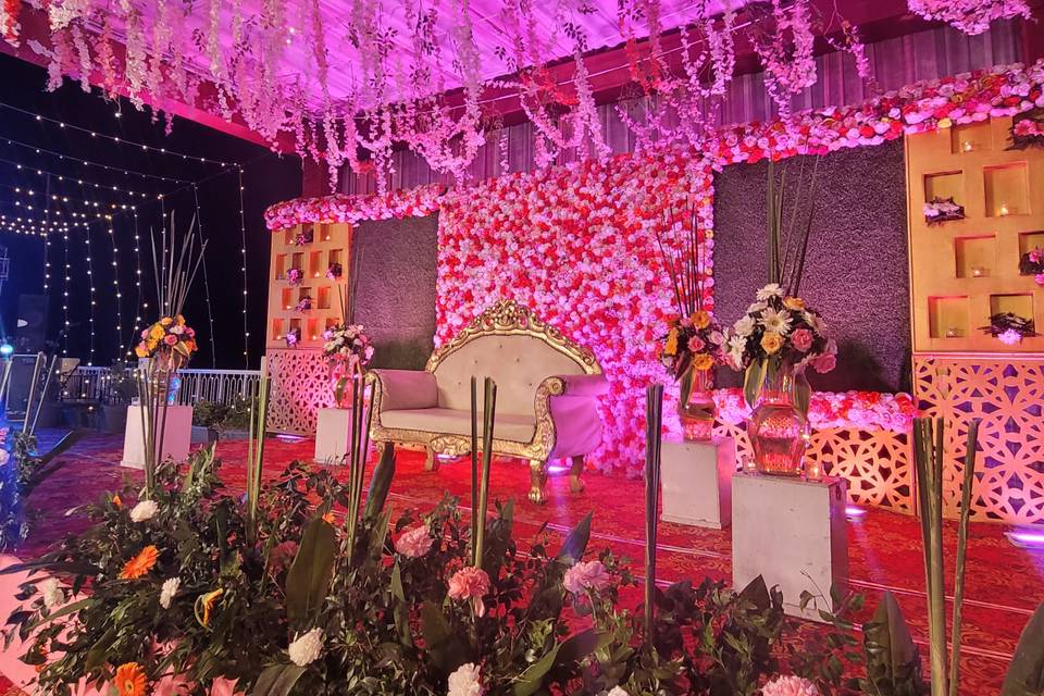 The Graceful Occasions