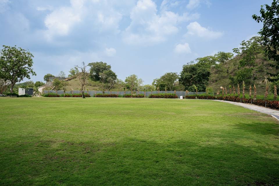 Lawn
