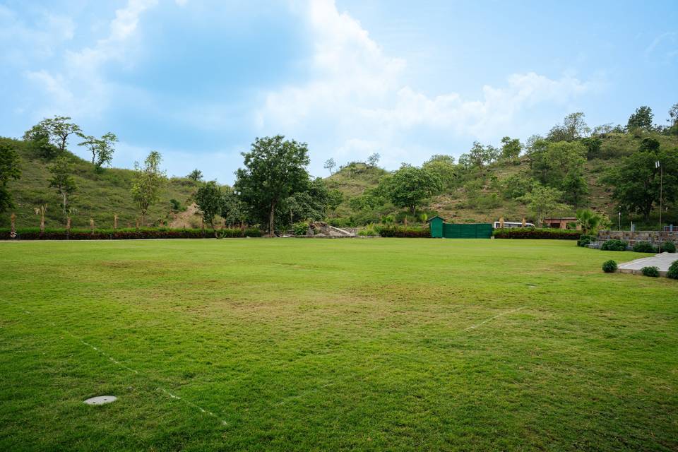 Lawn