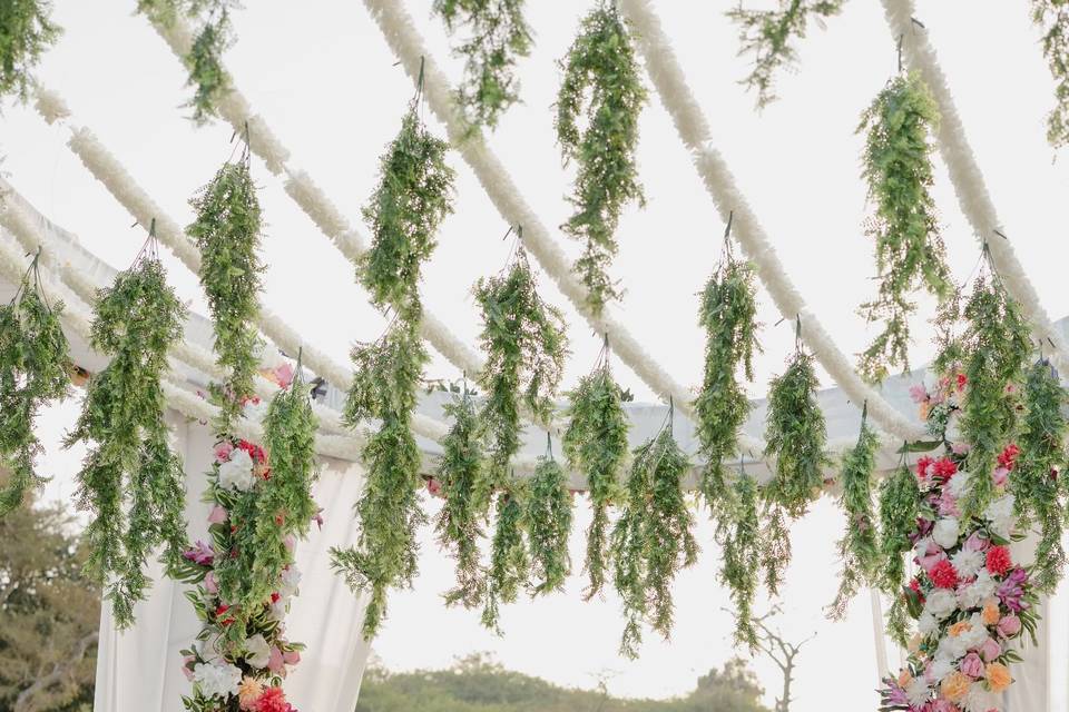 Weeding