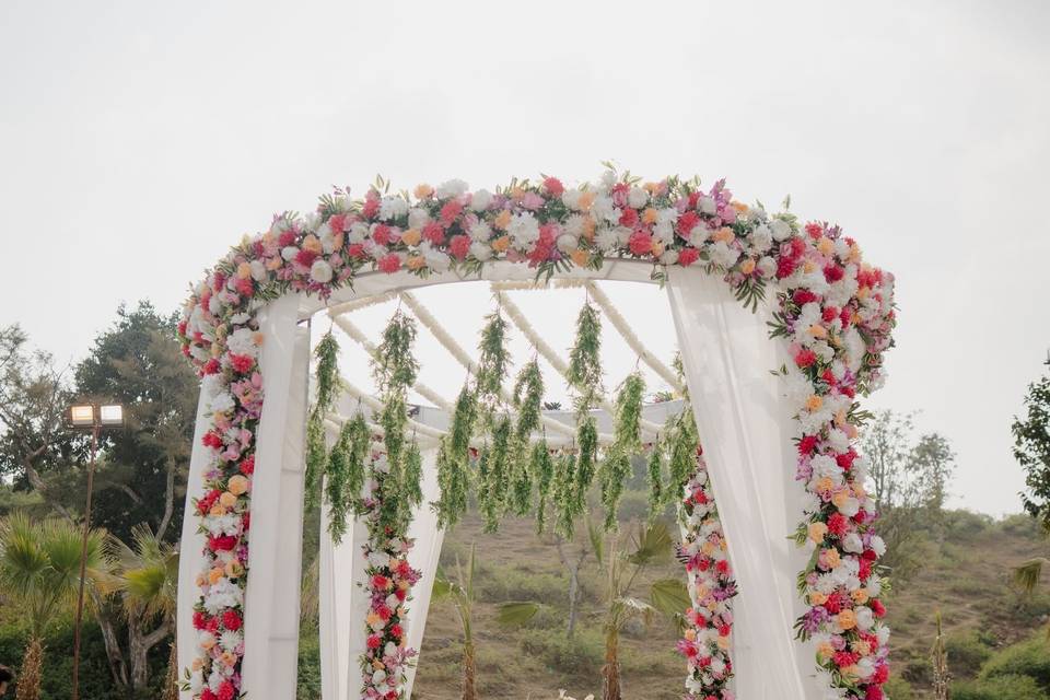 Weeding