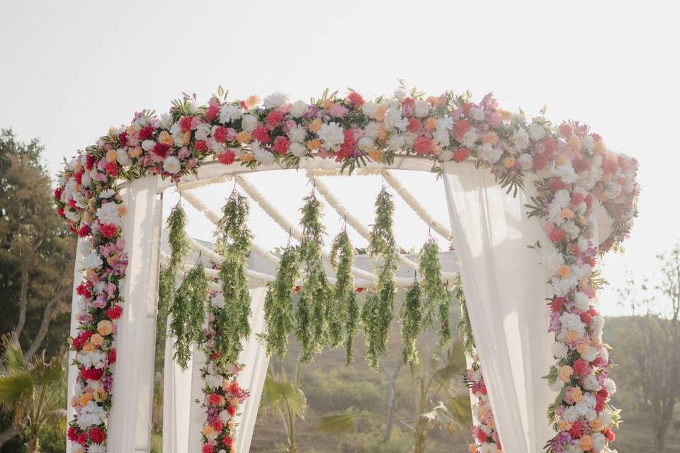 Weeding